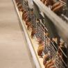 Buy cheap Hot Dipped Galvanized Wire Chicken Cages , Commercial Chicken Processing from wholesalers
