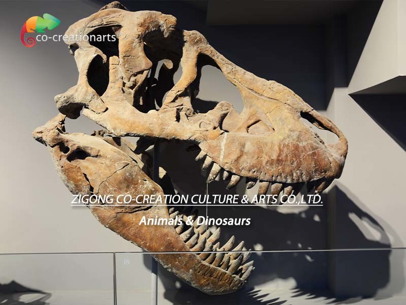 CE Realistic Artistic Dinosaur Skeleton Replica T Rex Skeleton Head High simulation