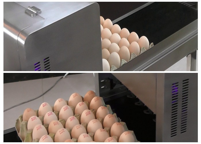 Egg Continuous Inkjet Printer for Date / Serial No / Batch code / Logo