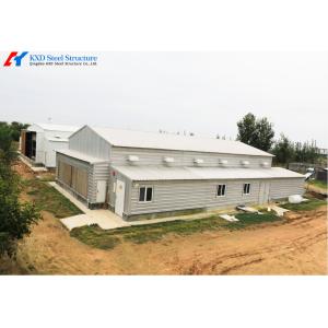  Commercial Steel Structure Poultry House with Feeding &amp; Drinking Systems Manufactures