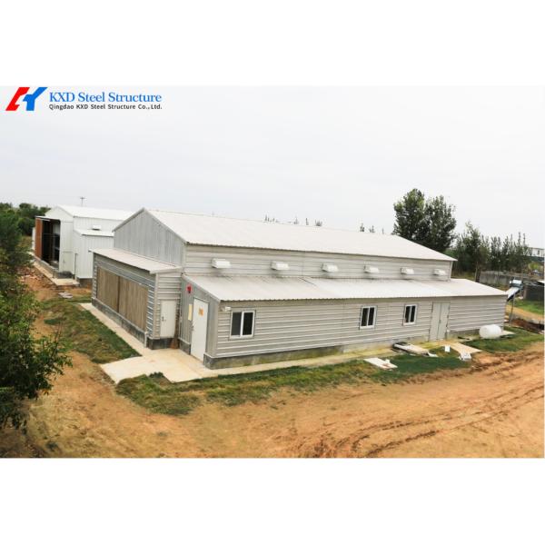 Quality Commercial Steel Structure Poultry House with Feeding & Drinking Systems for sale