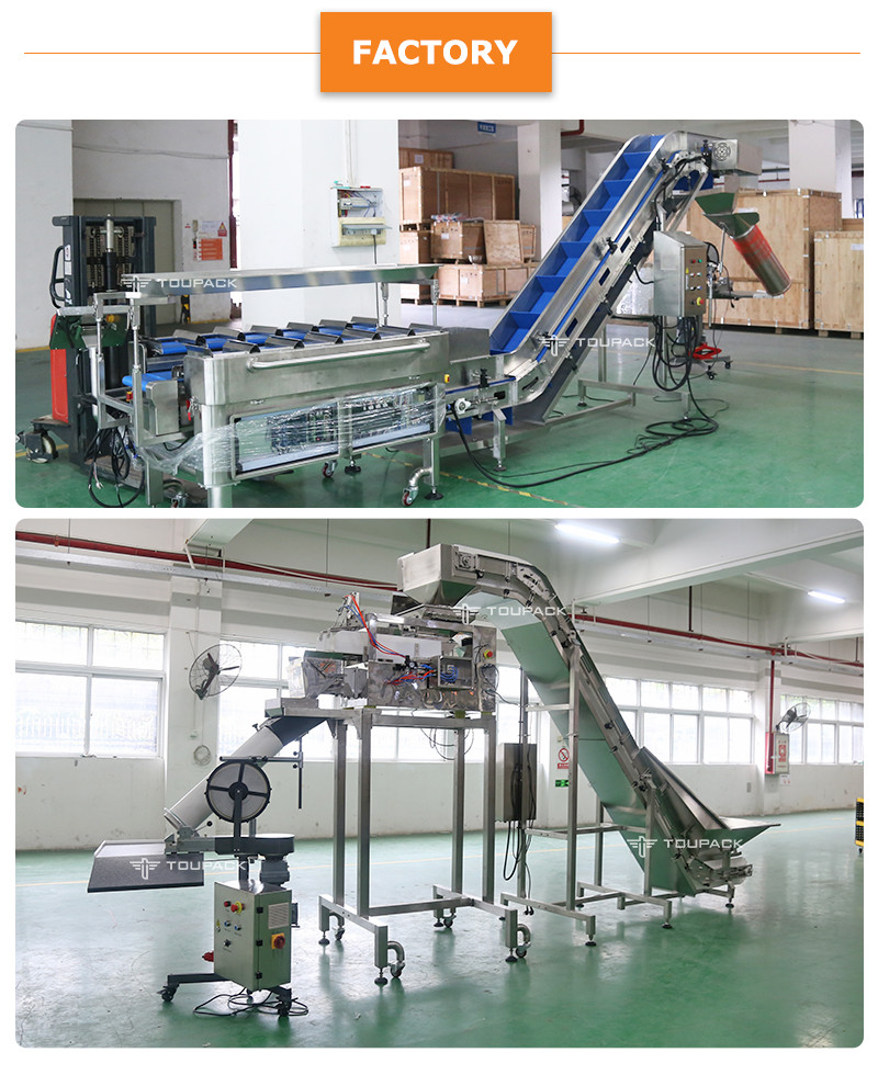 TOUPACK Mesh Bag Fruit Package Machine / Semi Automatic Citrus Net Bag Packaging Machine