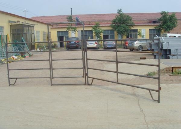 Square Style Galvanized Cattle Panels , Livestock Metal Fence Panels CE