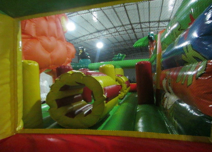 Inflatable tiger bouncer / Tiger belly inflatable bouncer / new inflatable tiger bouncer