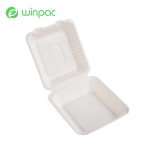  Sugarcane Bagasse Eco Friendly Disposable Food Containers For Takeaway 8 Inch Manufactures