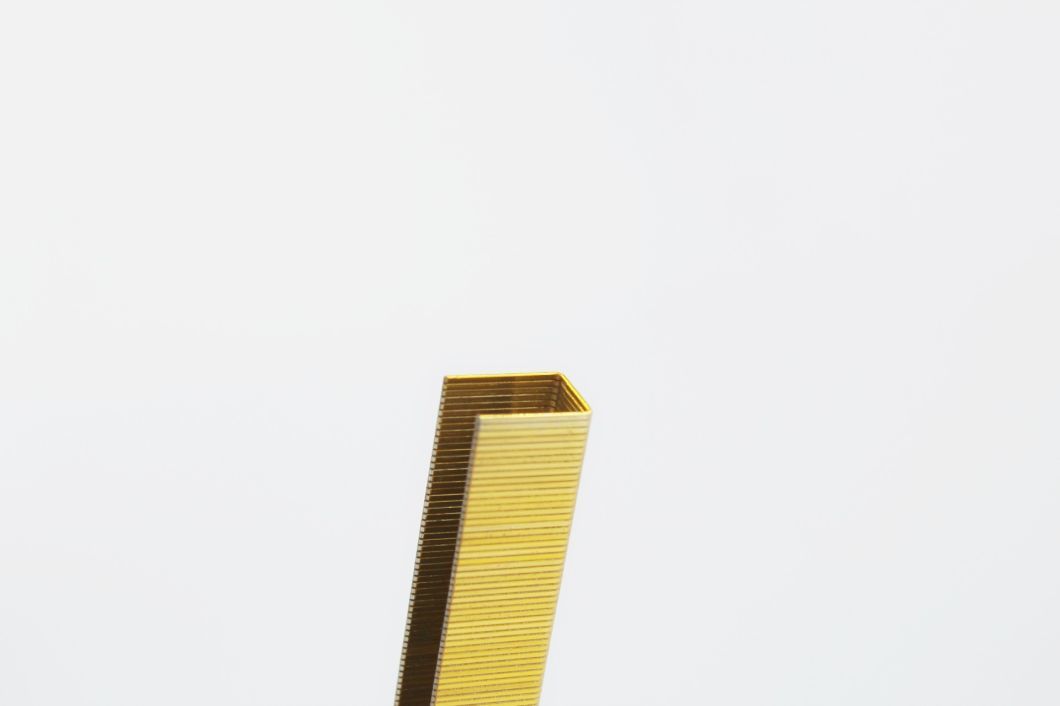 Hot Sale 14 Series Galvanized Industrial Wire Staples 20 Gauge with High Quality 1412