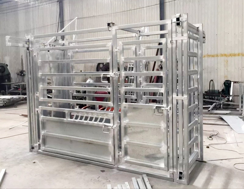 Cattle Crush Galvanized Livestock Fencing Galvanized Steel Fence