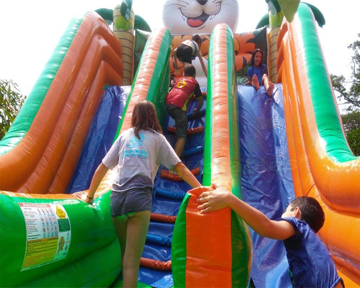 Tiger Double Side Inflatable Jump Bouncer Adult Bouncy Castle