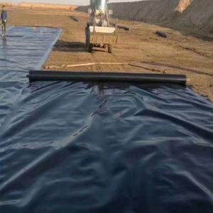  1.0mm HDPE Geomembrane Liner for Geomembranes in Artificial Lake Tank Dam Landfill Manufactures