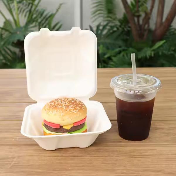 Disposable bagasse burger box customized oil resistant eco-friendly and