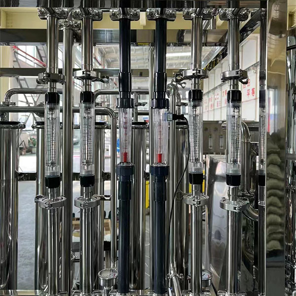 Reliable Operation Reverse Osmosis Edi Water Purification System High Efficiency