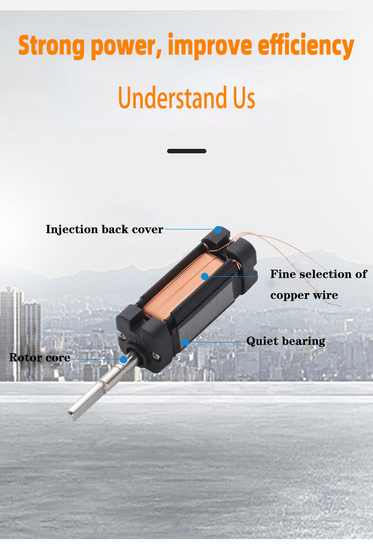 Faradyi Customized Stepper Motor 12v 24v High Torque Low Speed Brushless 4215 DC Gear Motor For Medical Equipment