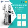 Buy cheap kryolipolyse cool tech slimming machine fat freeze cryolipolysis weight loss from wholesalers