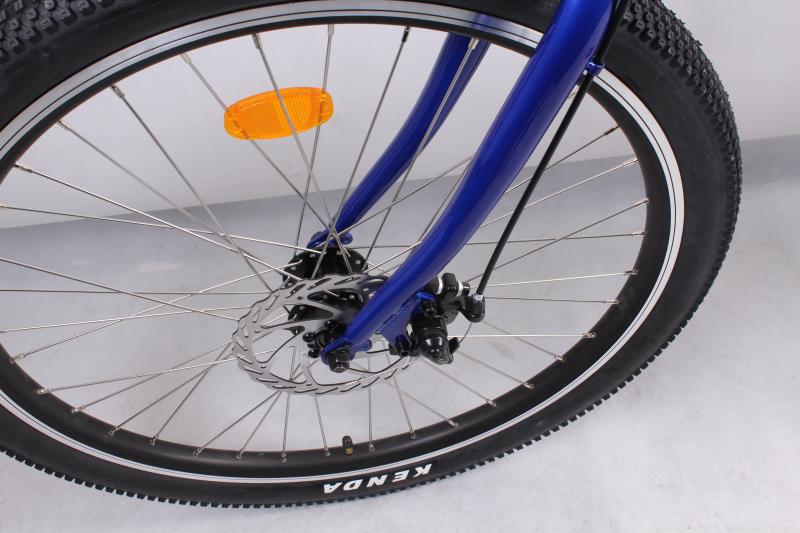 48V 500W 750W Beach Cruiser Electric Bike 6 Speed Rear Hub Motor Bicycle 48V 10.4Ah