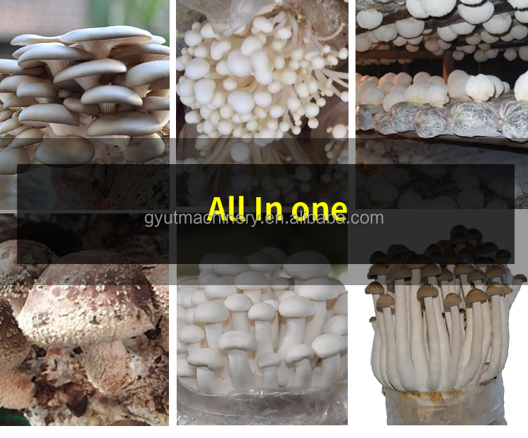 Mushroom Cultivation Line for Planting Customizable Color Mushroom Bag Filling Machine