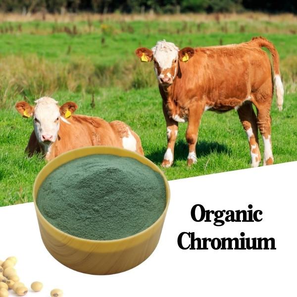 8% Chromium Amino Acid Organic Protein Animal Feed Additive Green Powder CAS7440