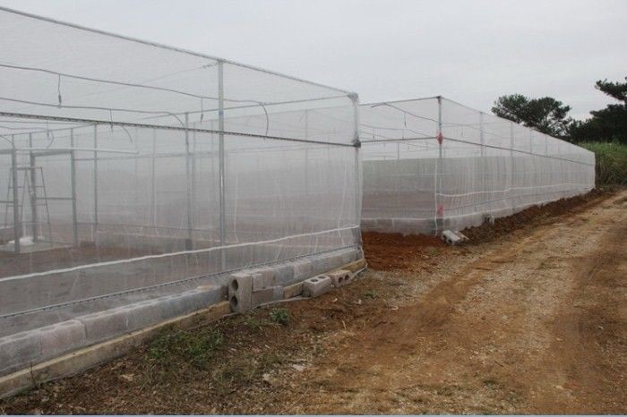 HDPE UV Plastic Greenhouse Cover Material 40/50/60mesh Resistance Greenhouse Insect Net For Vegetable
