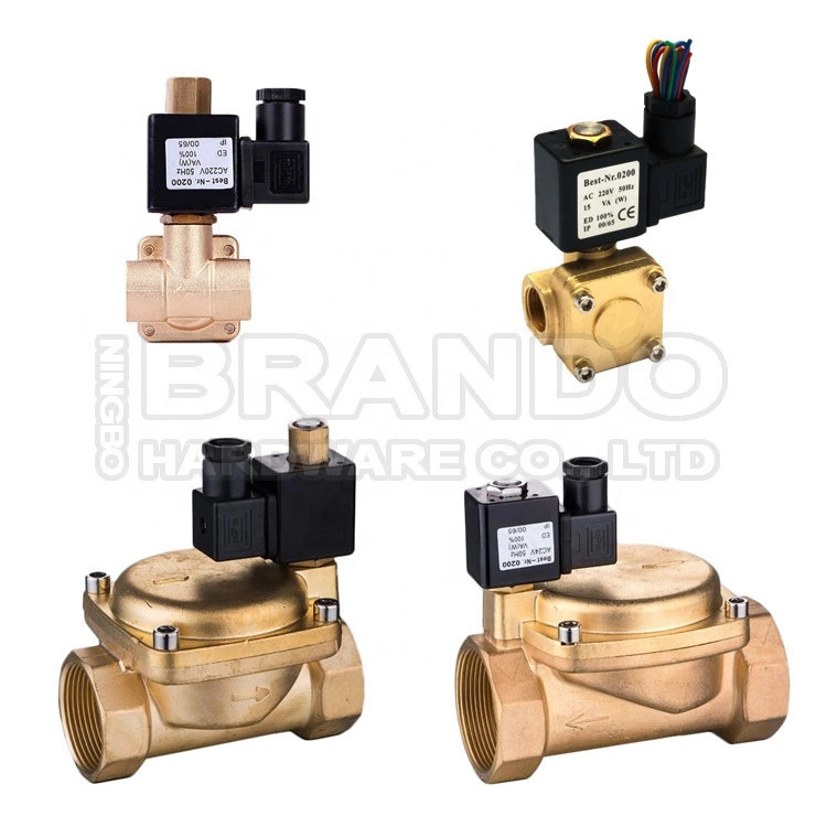 6013  Type 1/4'' NPT 2/2 Way Direct Acting Plunger Operated Brass Solenoid Valve 7