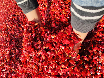 1.5CM Dried Crushed Red Pepper 8% Moisture Chili Pepper Flakes