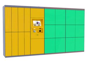  Self Service Laundry Dry Locker , Electronic Smart Storage Doors The Cleaning Locker Manufactures