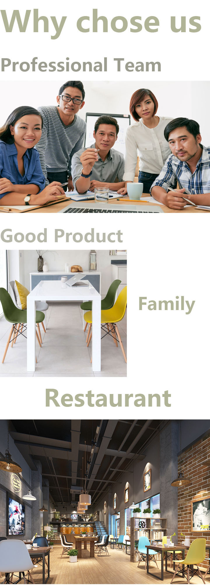 Solid Wood Legs Coloured Plastic Dining Chairs For Family / Restaurant