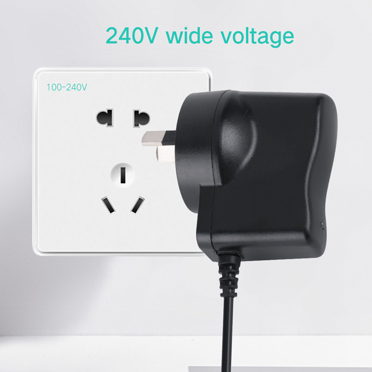50g AC DC Wall Power Adapter 4.2V 1A Power Supply OEM / ODM