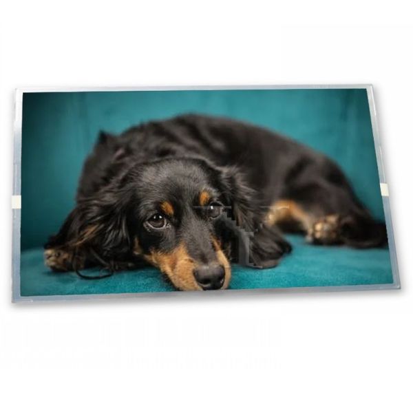 Quality Durable 640*480 ODM SP24V01L0ALZZ Aerospace Grade High-Resolution 9.4-Inch LCD Display Module with WLED 640x480 Resolution for sale