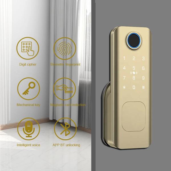 Apartment Interior Door Digital Lock TTLock Fingerprint Card NFC Access Digital