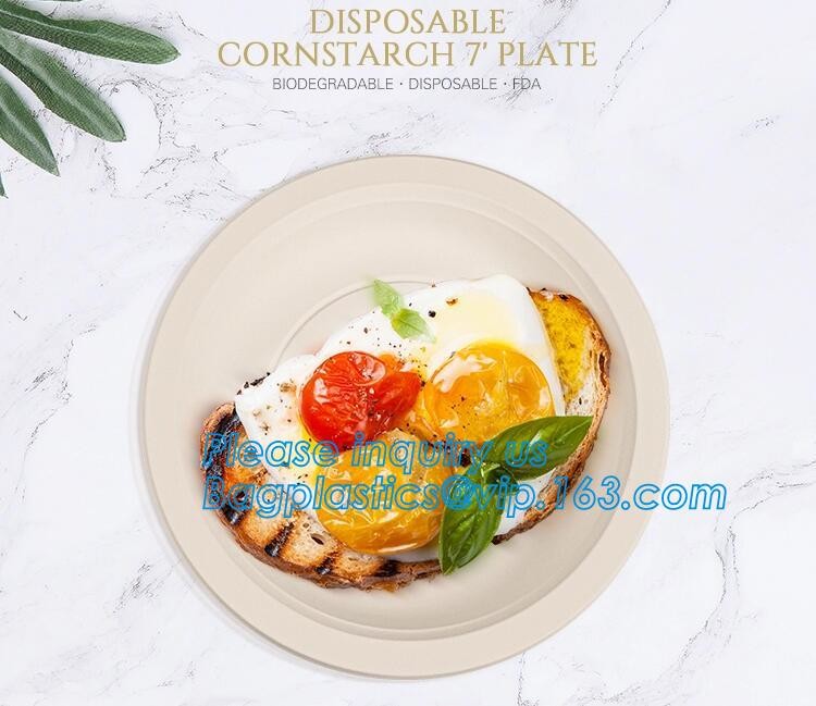 Meal Prep Containers Free Sample Bento Lunch Box Biodegradable Food Container Plastic Wheat Straw Lunch Box bagplastics
