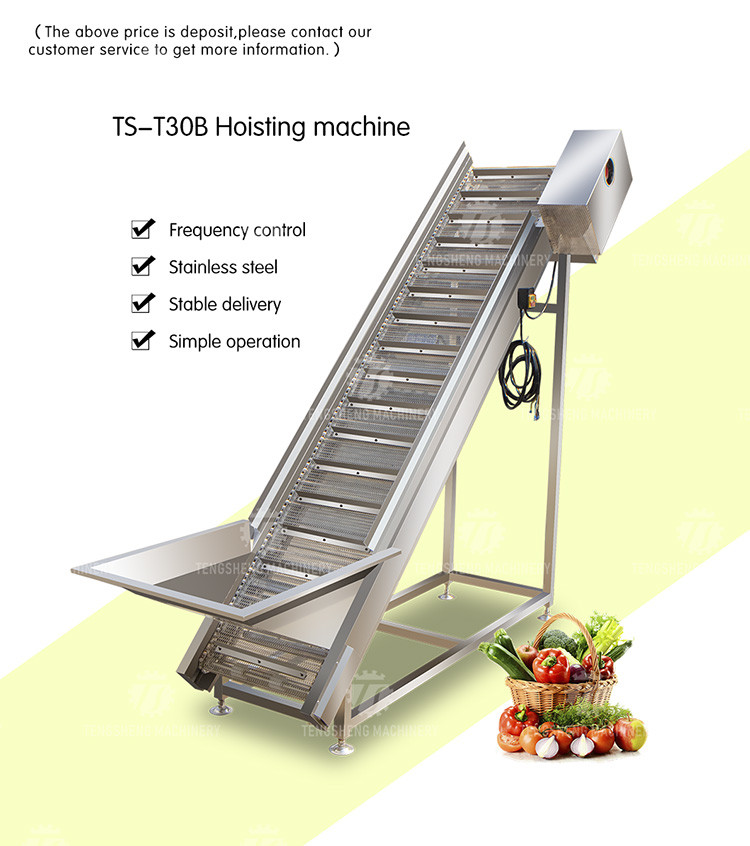 380V Vegetable Processing Machine Automatic Elevator Food Conveying