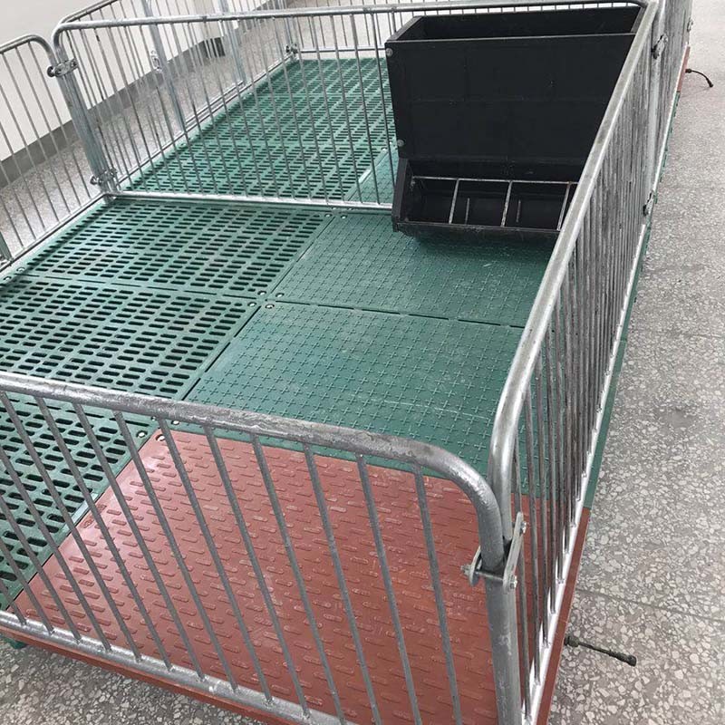 Hot Dip Galvanized Piggery Farm Equipment PVC board Weaner Raised Farrowing Crate