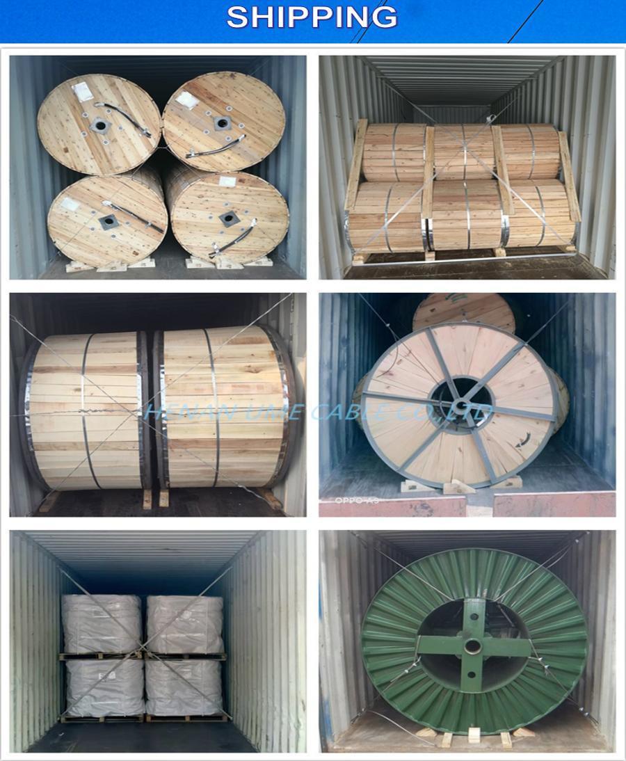 Aluminum Clad Steel Guy Strand 7X12AWG 19X7AWG 37X7AWG 20.3% 30% Opgw ACSR/Aw Acs Wire