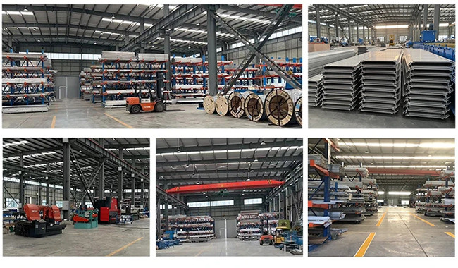 Solid D Rubber Fenders Reliable Shoreline Defense Easy Installation Design