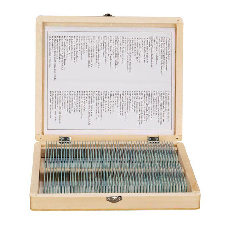 Biology Glass Prepared Specimen Slides 100PCS For Science Basic Animal Plants Insects