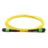 Buy cheap MPO / MTP Fiber Optic Jumper Cables Single Mode G657A G652D Multi Mode OM3 OM4 from wholesalers