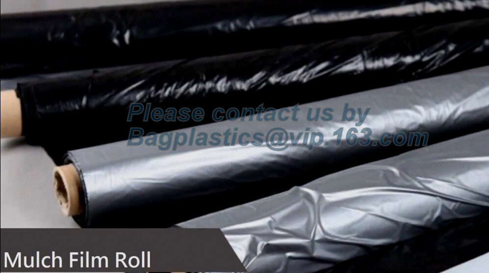 Transparent / Black / Silver / White color Plastic PE LDPE Agriculture Mulching Film,panda strawberry mulch film/black w