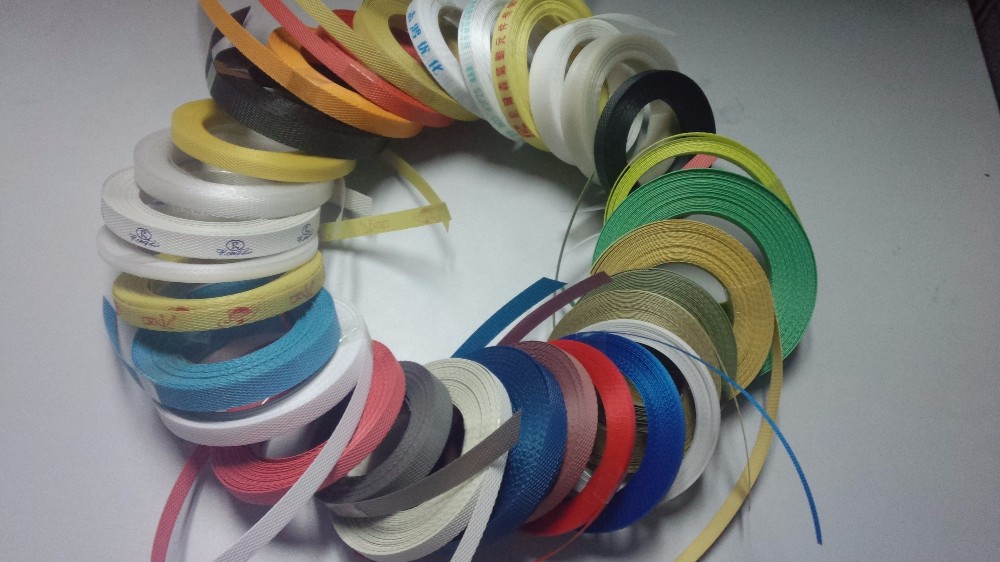Double Screw Automatic PP Strap Making Machine Plastic Making Machine with 2 Lines Semi Auto Pp Strapping Machine