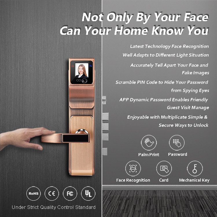 Security Big Panel Fingerprint Zinc Alloy Door Lock IR Face Recognition