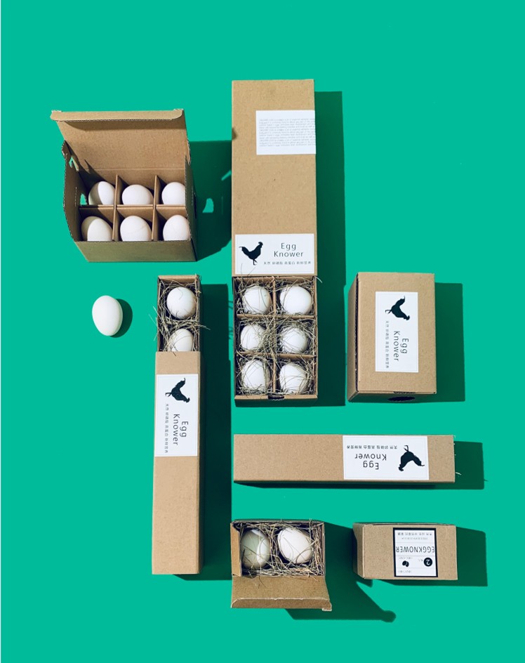 Paper Easter Quail Egg Containers Cartons Packaging Box 3x4 Tray Biodegradable Custom