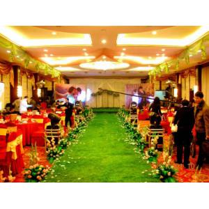 Indoor Artificial Turf Leisure Soft Antibacterial Durable Synthetic Grass