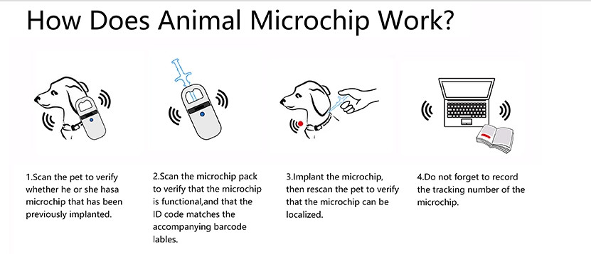 134.2 KHz Frequency Animal ID Microchip EM4305 Chip Type Bio - Glass Material