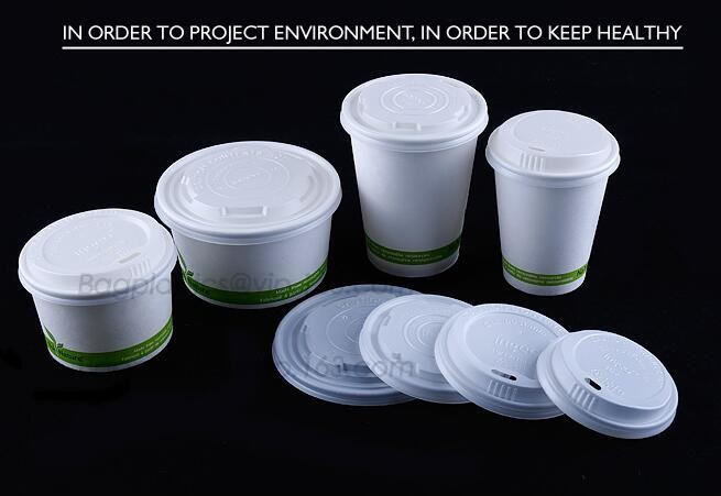 Meal Prep Containers Free Sample Bento Lunch Box Biodegradable Food Container Plastic Wheat Straw Lunch Box bagplastics