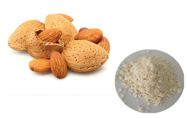 Good Water Soluble Almond Powder Bitter Almond Milk Flour for Food Ingredients