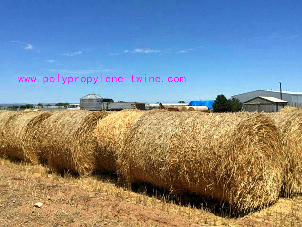 Agriculture PP Packing Baler Twine Raw White Red Blue Hay Baling Twine