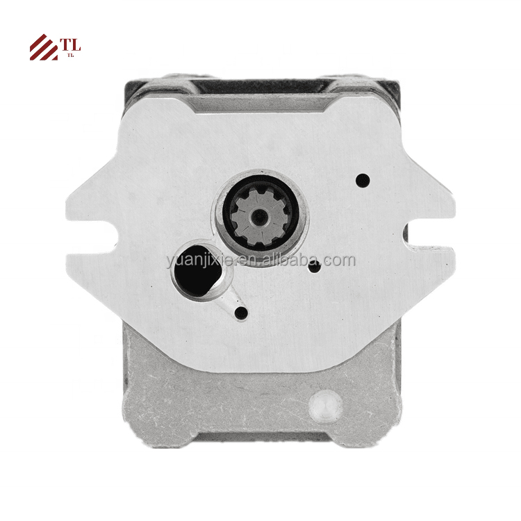 Complete Hydraulic Main Pump 172441-73101 VIO30-2 VIO30 Gear Pump Nachi 172441-73110