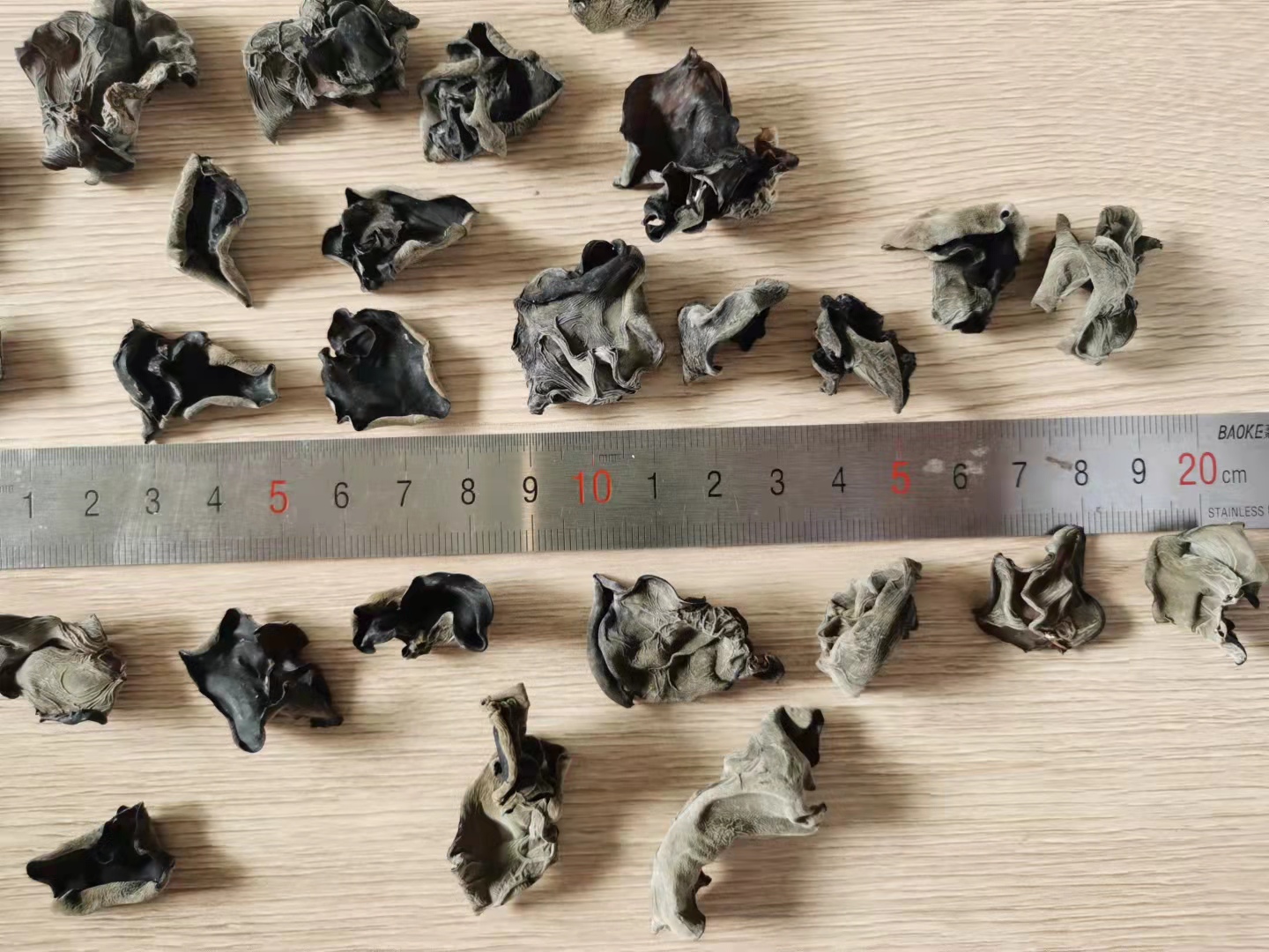 Cool Dried Storage Type Organic Dried Black Fungus Bulk 4-5CM from India and Morocco