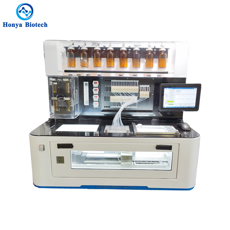 12 Channel DNA RNA Synthesizer Choice For DNA Sequencing And PCR Thio Primer Category