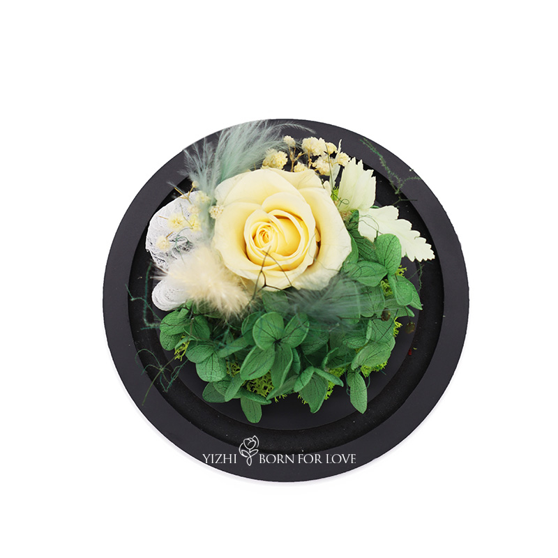 Beautiful Colorful Gifts Preserved Flower Glass Dome Indor Decoration