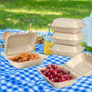Customized takeaway burger box biodegradable sugarcane bagasse container clam