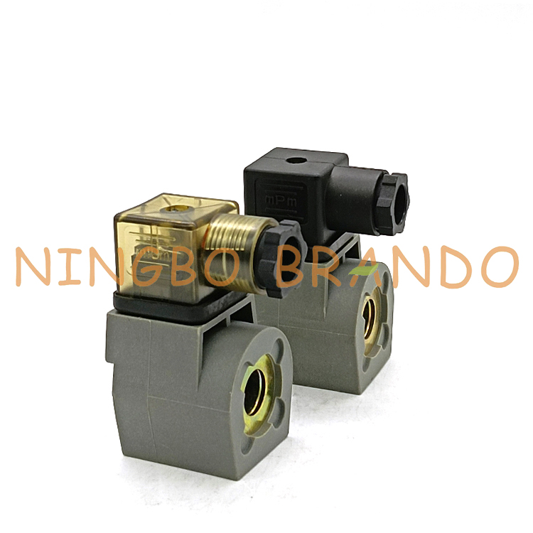 Goyen Coil